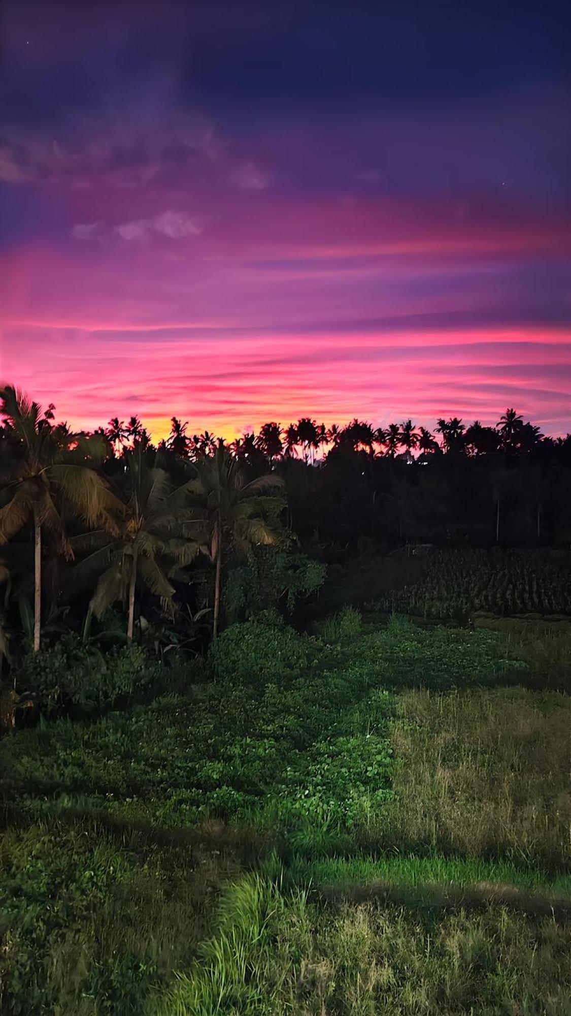 Wadari Retreat Villa Ubud מראה חיצוני תמונה